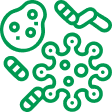 microorganismos